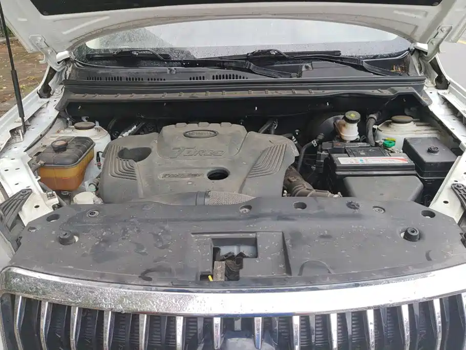 SWM Motor SWM G05 2019 2019 1.5T Automatic Elite Model