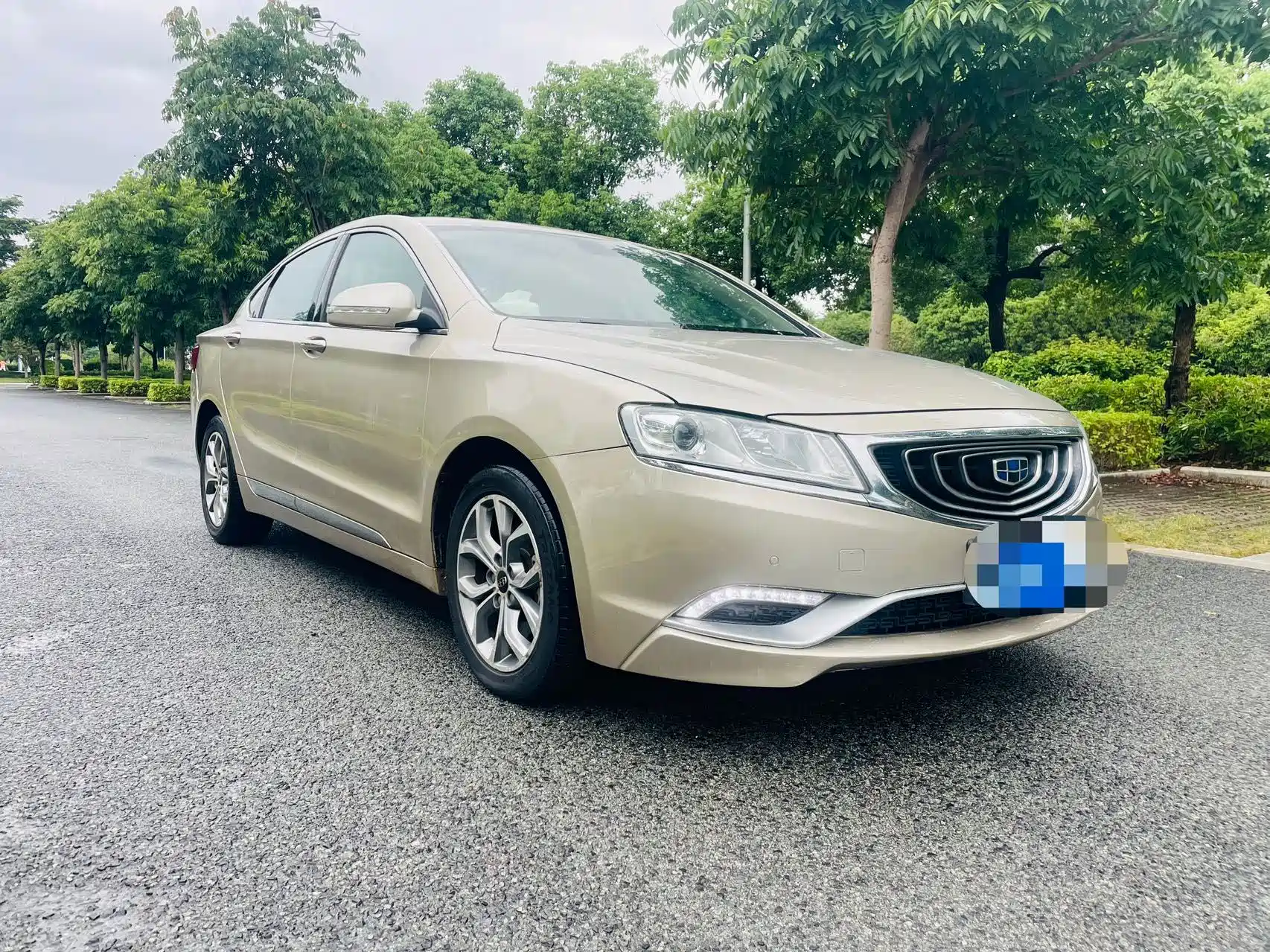 Фото 3 - Geely Borui