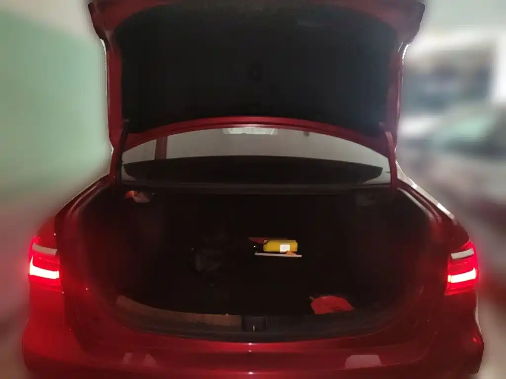 BYD Qin 2021 2019 1.5L Automatic Luxury Edition