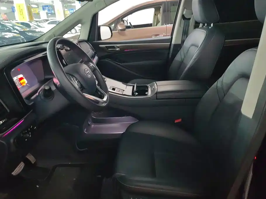 GAC Trumpchi Trumpchi M8 2021 Leading Show Series 390T Ultimate Edition фото 9