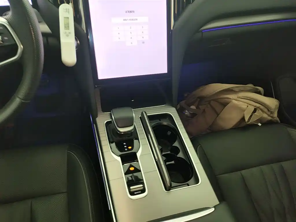 Hongqi HS7 PHEV 2024 2.0T PHEV 4WD Flagship Edition 6-seater фото 14