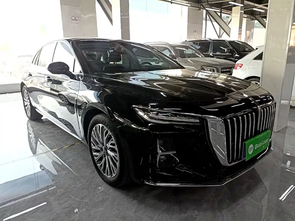 Hongqi H5 2023 2.0T Auto Smart Connect Flag Comfort фото 4