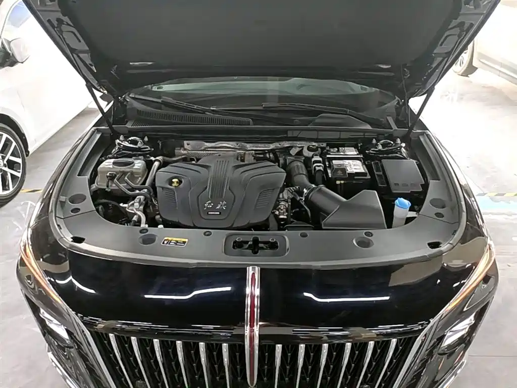 Hongqi H5 2023 2.0T Auto Smart Connect Flag Comfort фото 20