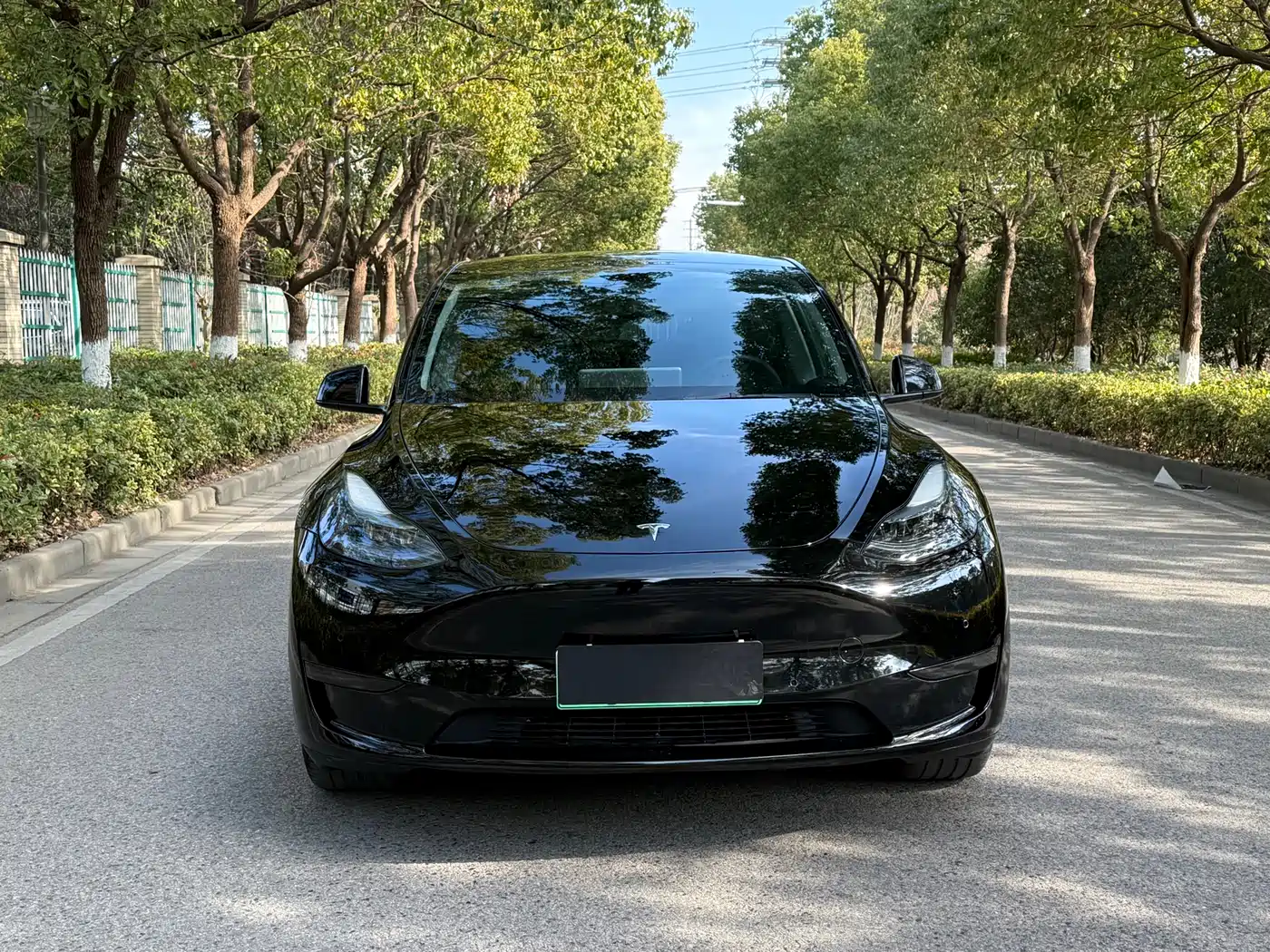 TESLA MODEL Y
