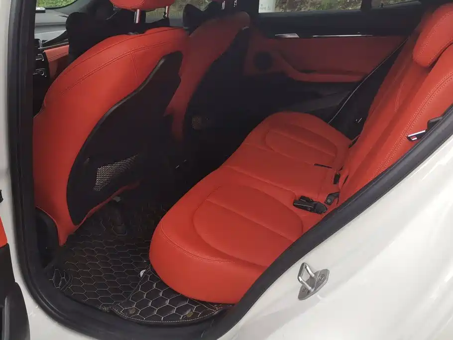 BMW X2 2020 2020 sDrive25i Leading M Sport Package