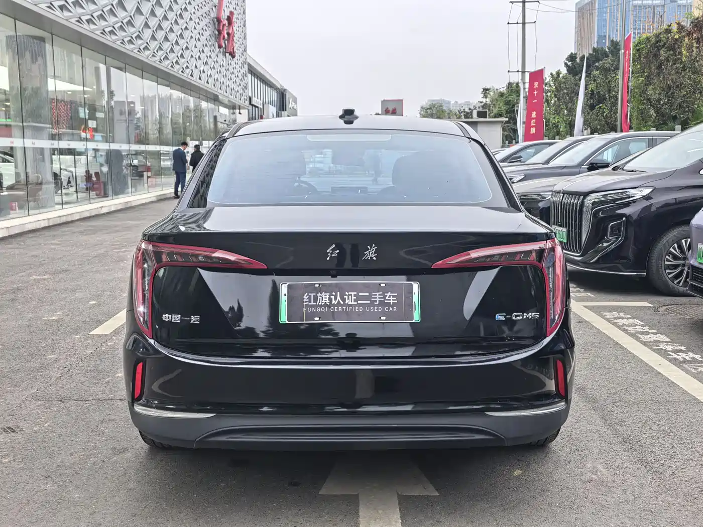 Hongqi E-QM5 2023 Facelift Basic Travel Edition фото 6