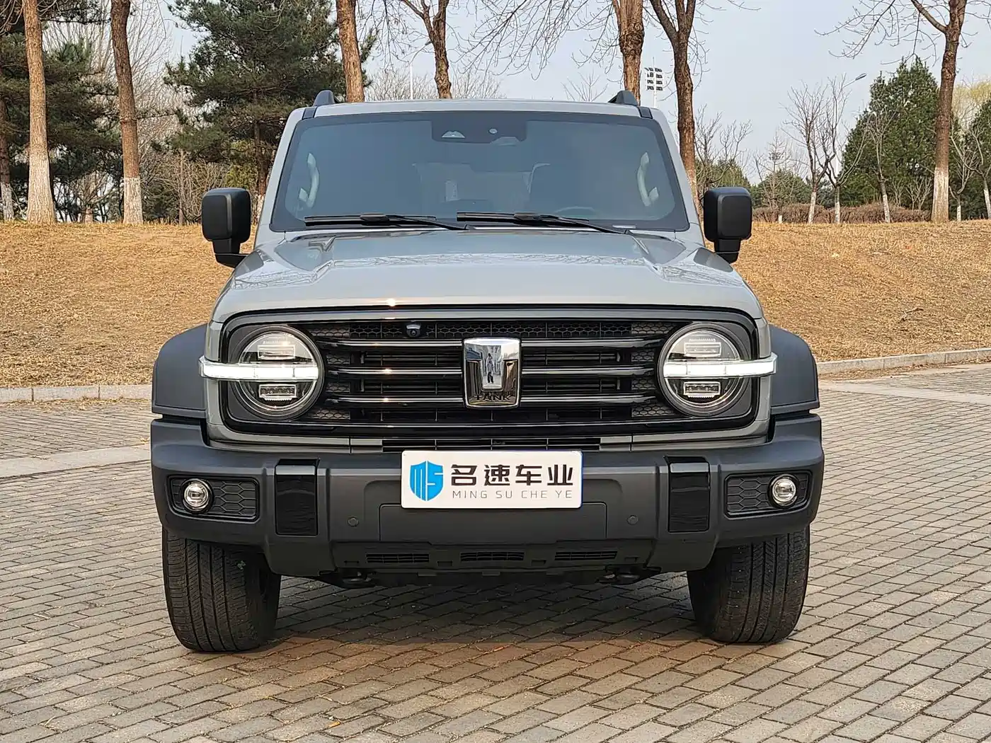 Tank 300 2023 Off-Road Edition 2.0T Conqueror фото 3