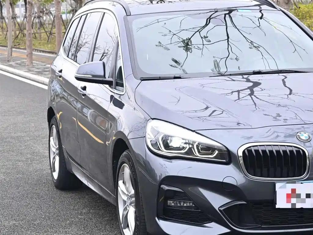 BMW 2 Series Gran Tourer 2019 220i Premium Sport Package фото 4