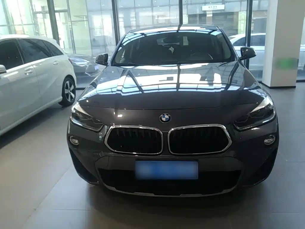 BMW X2 (Import) 2019 2019 sDrive20i M Off-Road Package China VI
