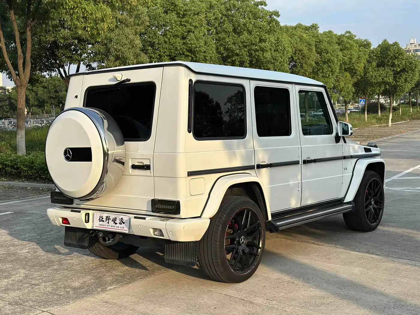 Mercedes-Benz G-Class 2017 G 500 фото 4