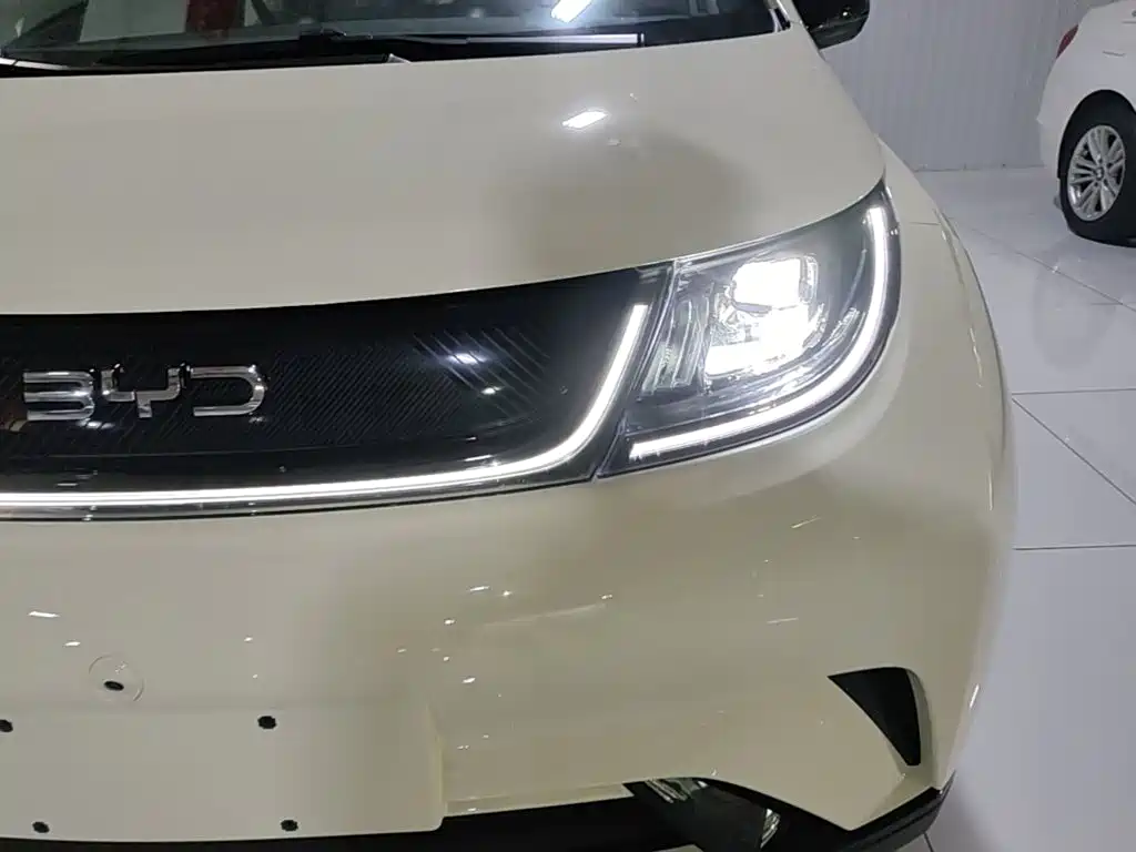 Фото 24 - BYD Dolphin