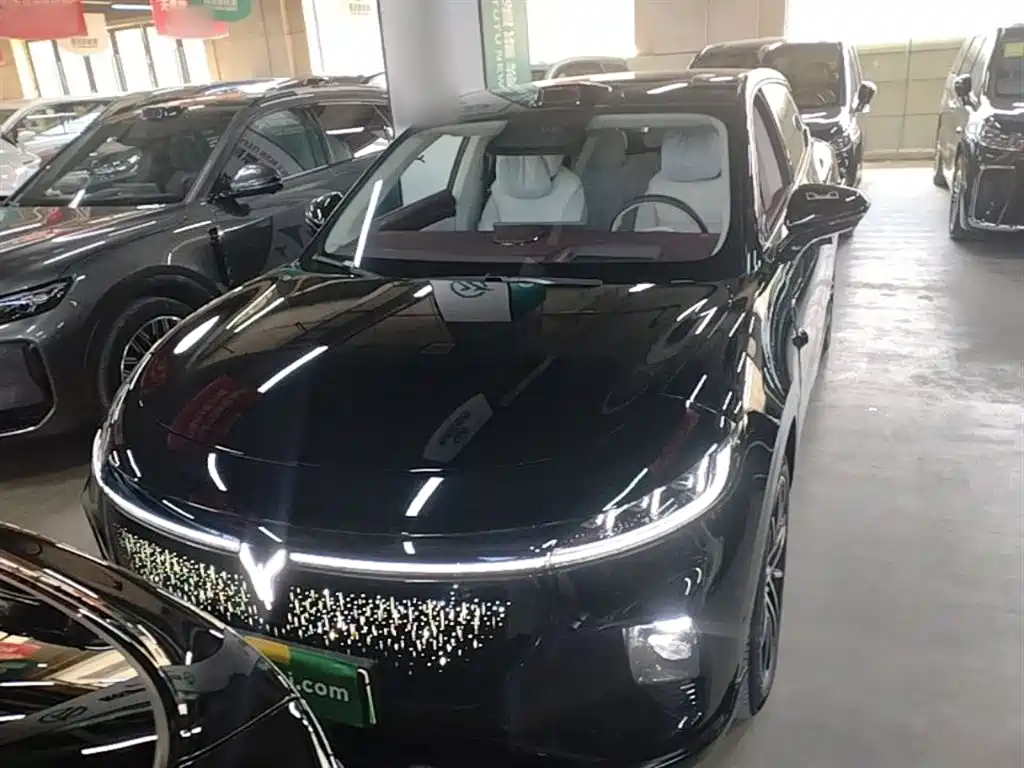 Voyah Auto Voyah Zhiyin 2025 Base фото 3