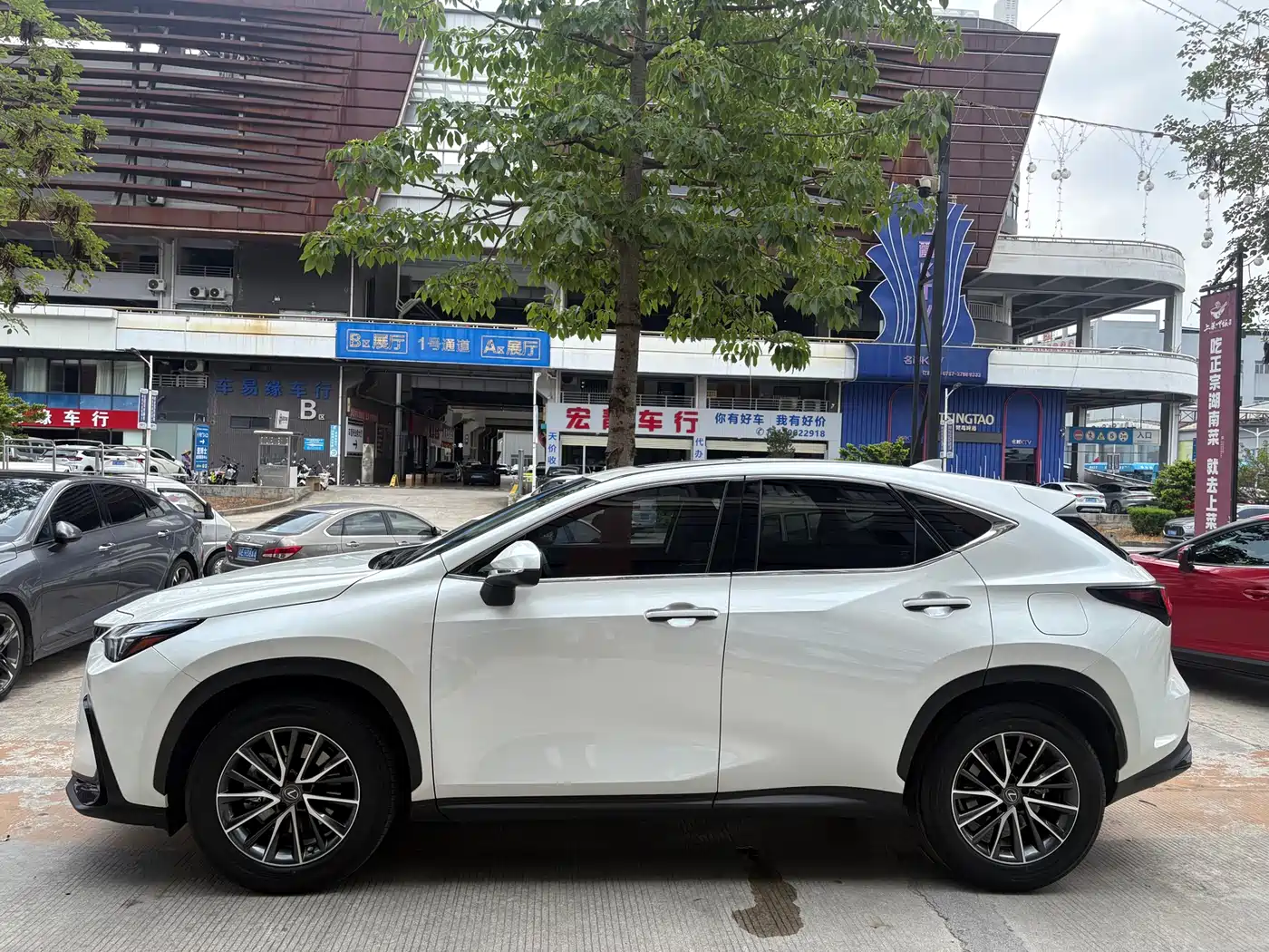 Lexus NX 2022 260 FWD Joy Creation Edition фото 4