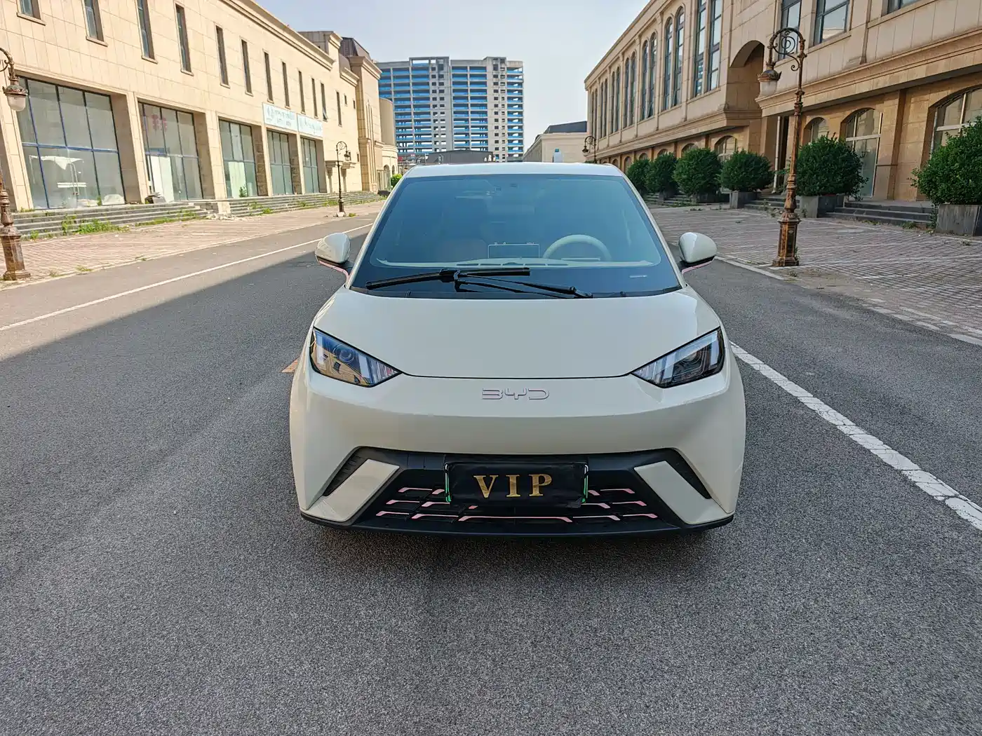 BYD Seagull 2024 Glory Edition 305km Vitality Edition фото 2