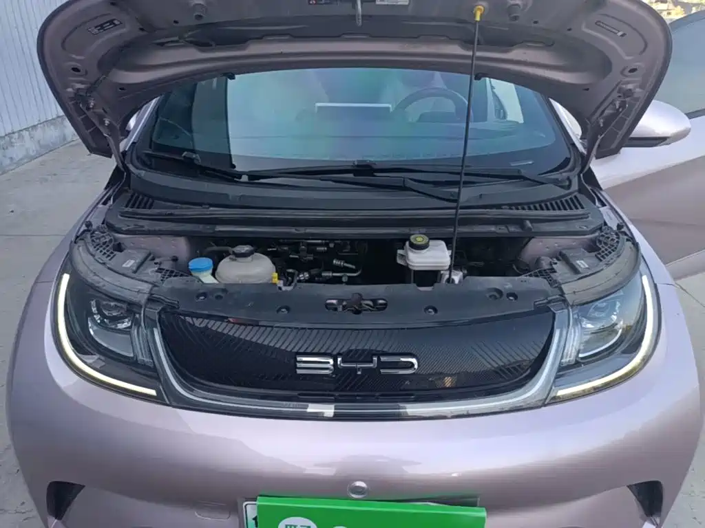 BYD Dolphin 2022 2021 Model 405km Fashion Edition
