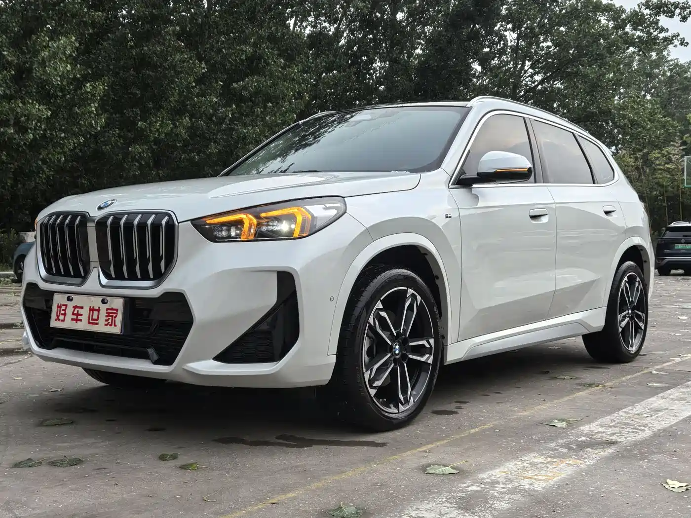 BMW X1 2024 sDrive25Li X Design Package
