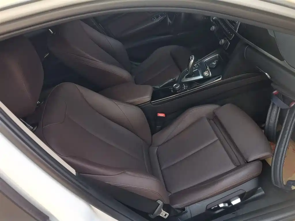 BMW 3 Series 2018 320Li Fashion Style фото 25