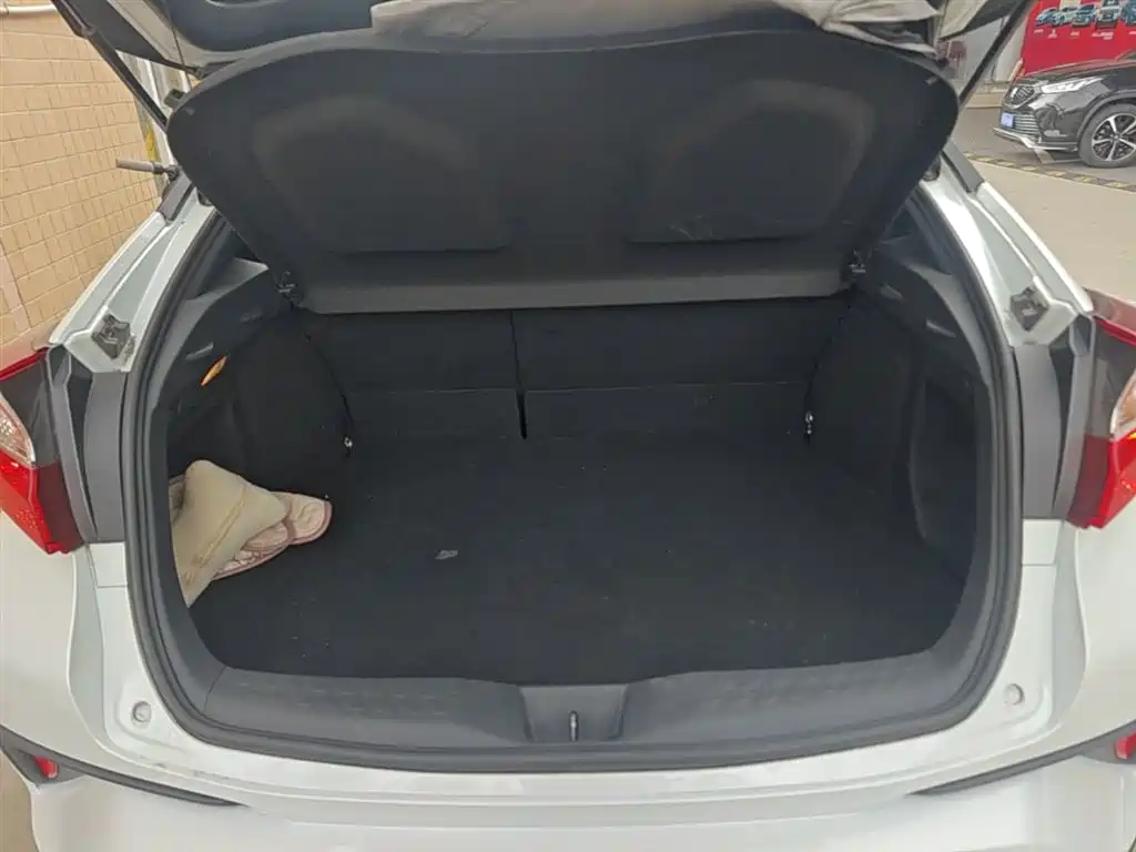 Toyota IZOA 2021 2.0L Yixing Edition фото 19