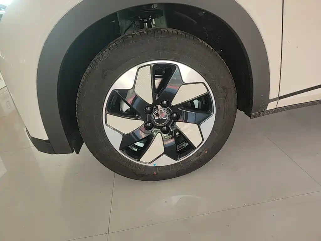 BYD Dolphin 2026 2025 420km Freedom Edition