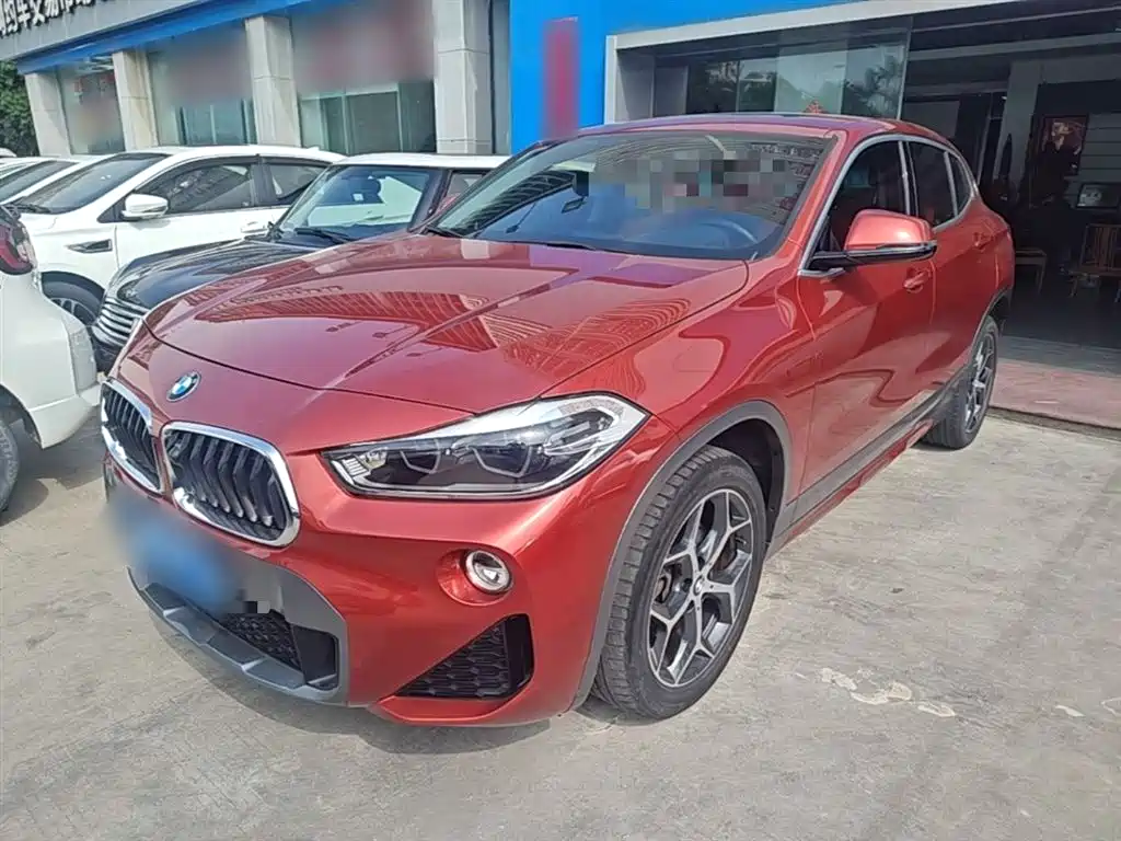 BMW X2 (Import) 2019 sDrive20i M Off-Road Package China VI