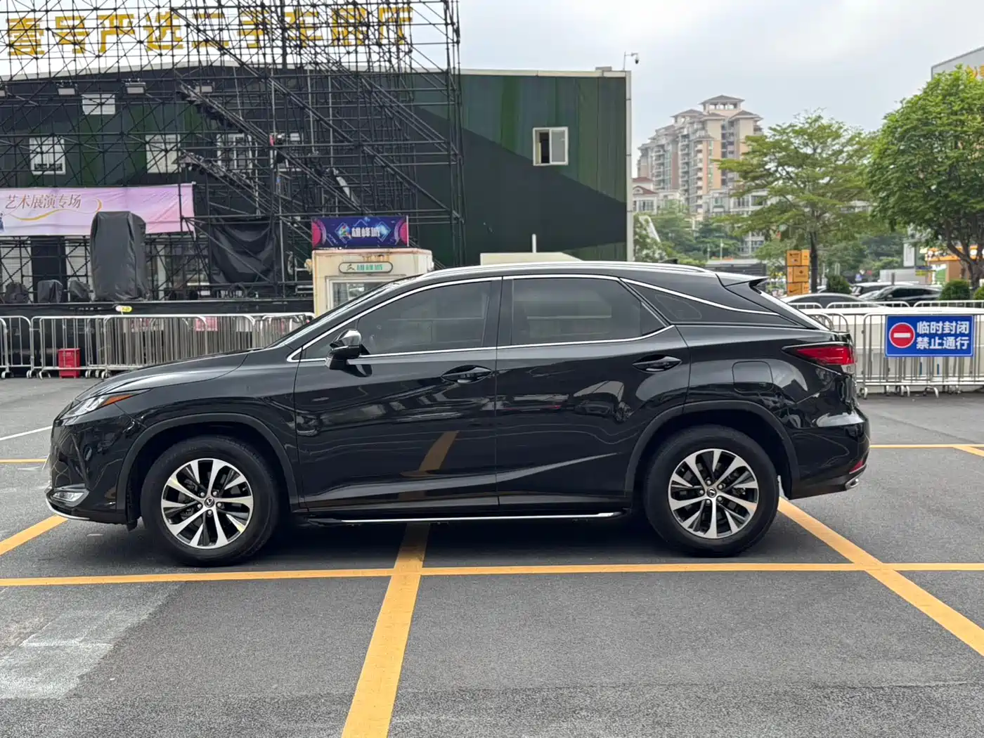 Lexus RX 2020 300 2WD Comfort Edition China V фото 3