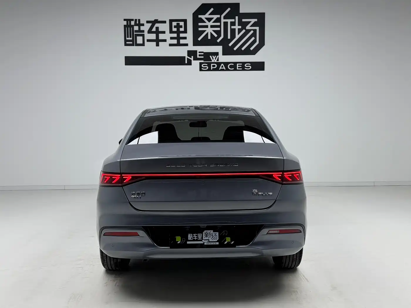 BYD Qin PLUS 2023 Champion Edition DM-i 55KM Leading фото 5