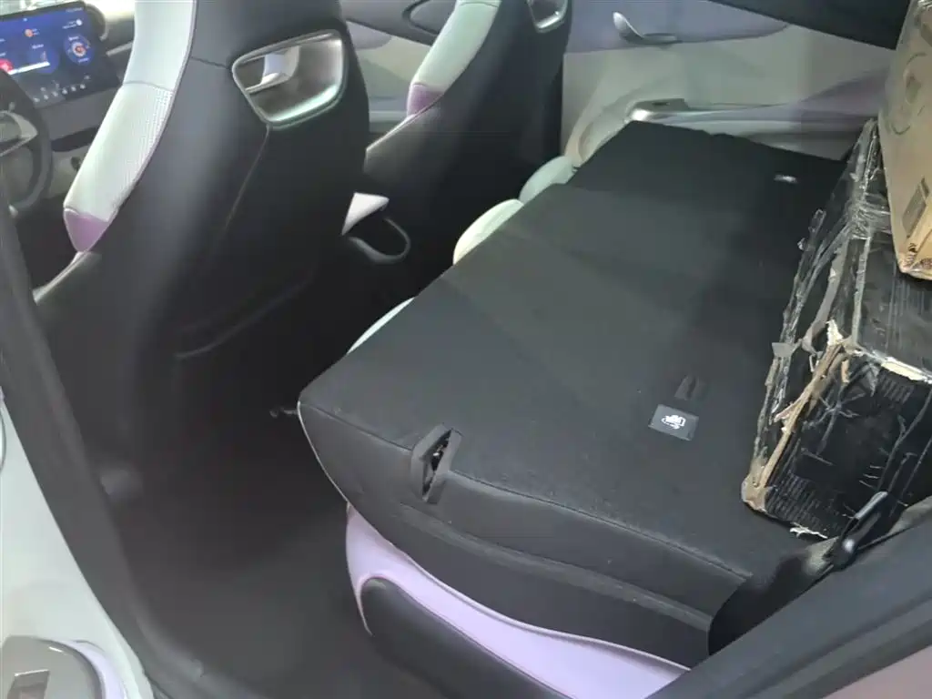 BYD Dolphin 2023 401km Knight Edition фото 17