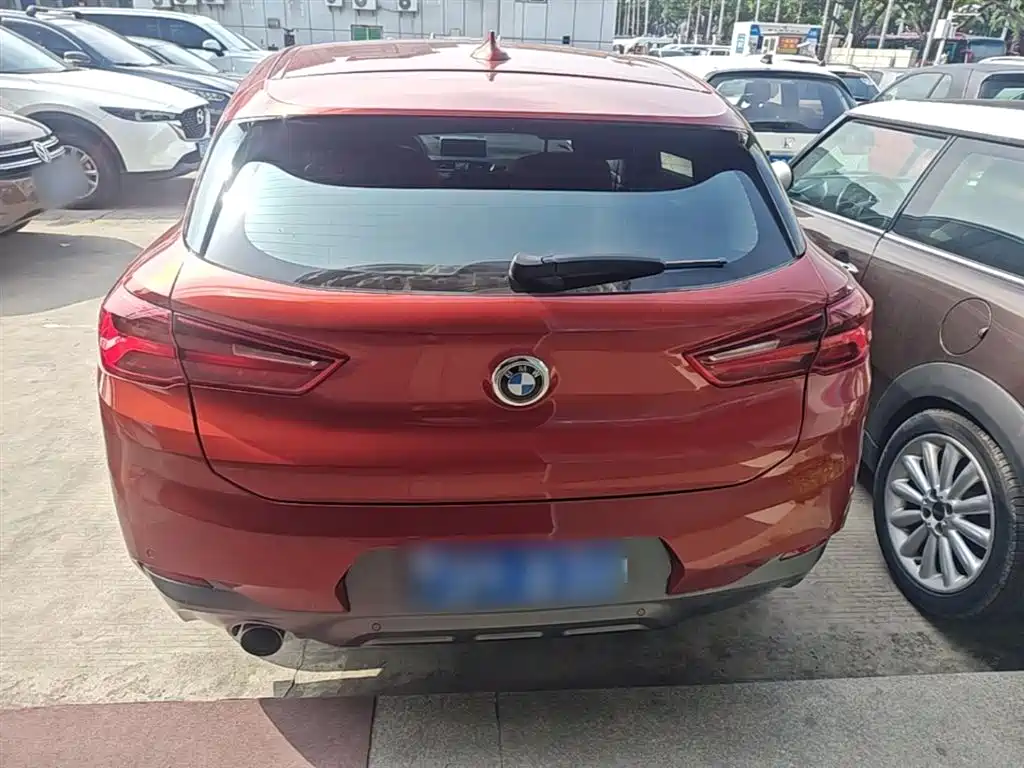 BMW X2 (Import) 2019 sDrive20i M Off-Road Package China VI фото 6