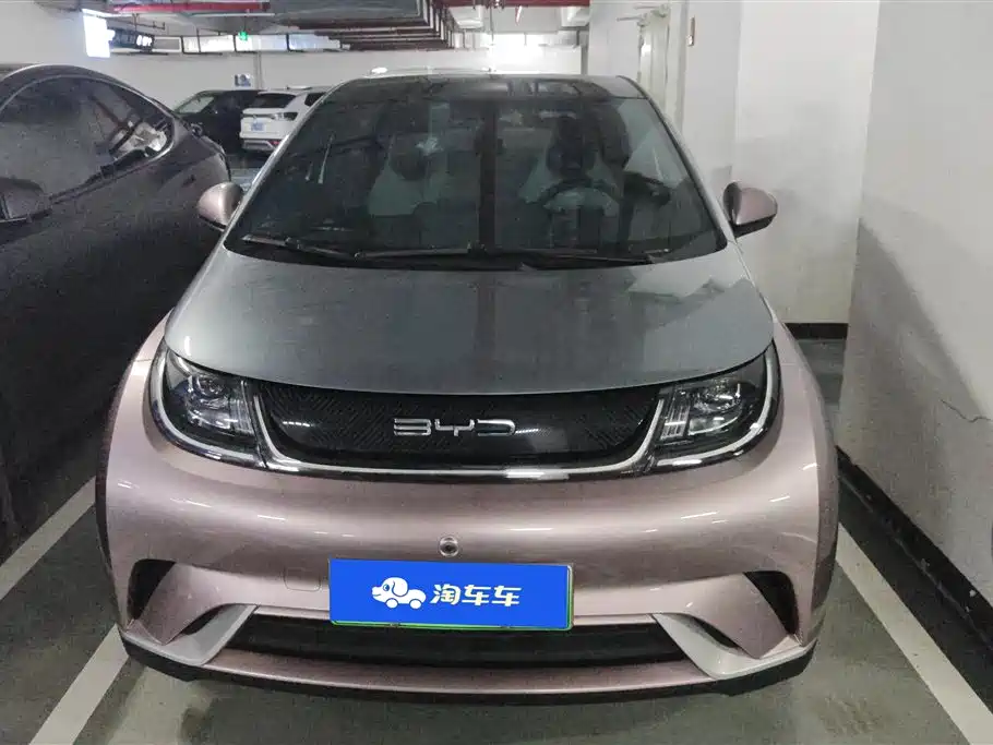 BYD Dolphin 2021 Model 405km Fashion Edition фото 2
