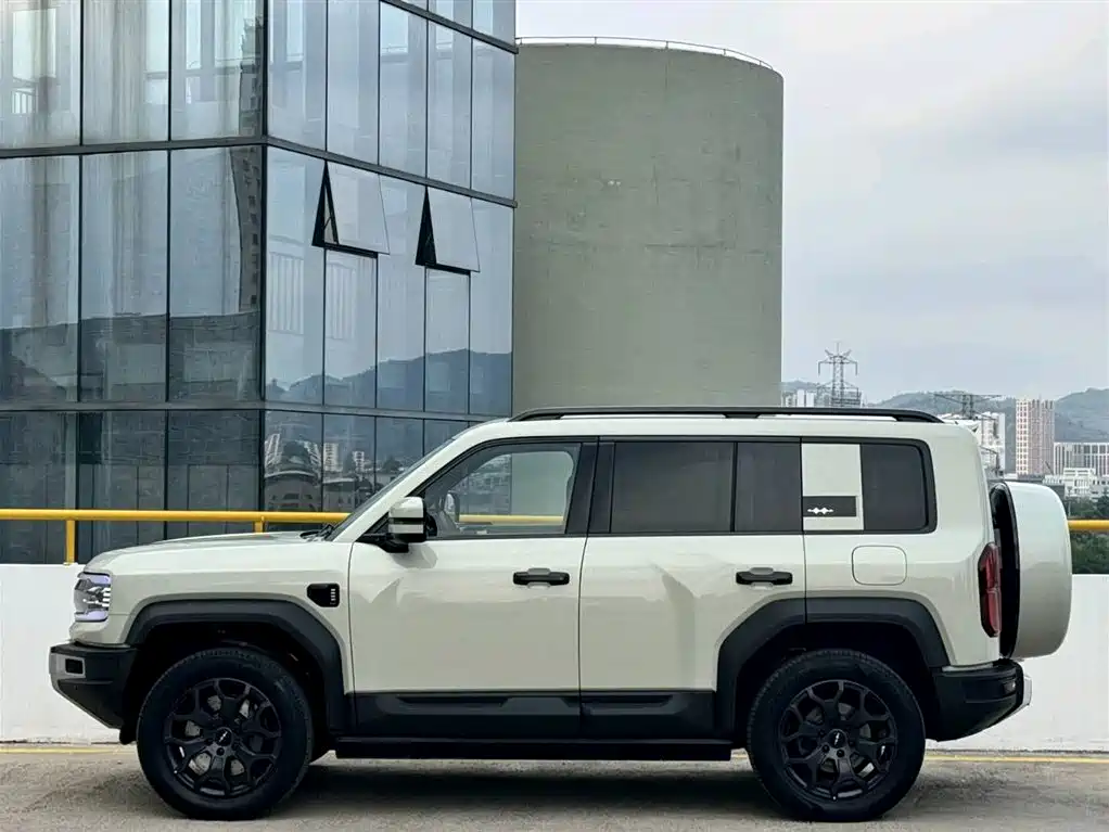 FANG CHENG BAO LEOPARD 5