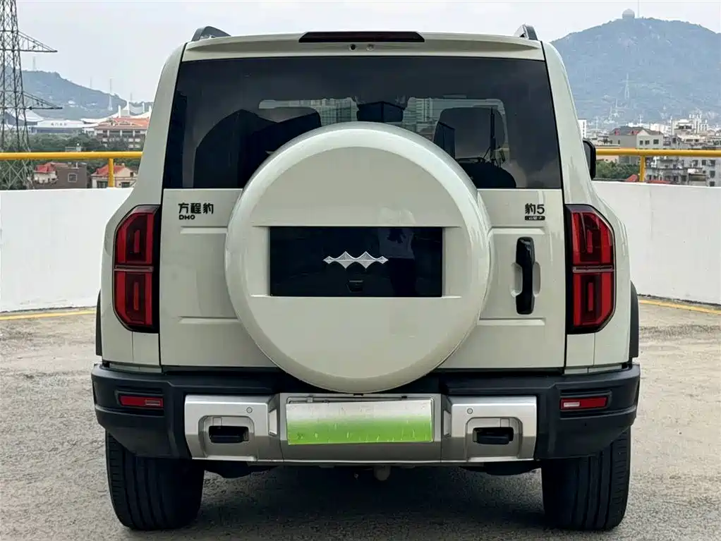 FANG CHENG BAO LEOPARD 5