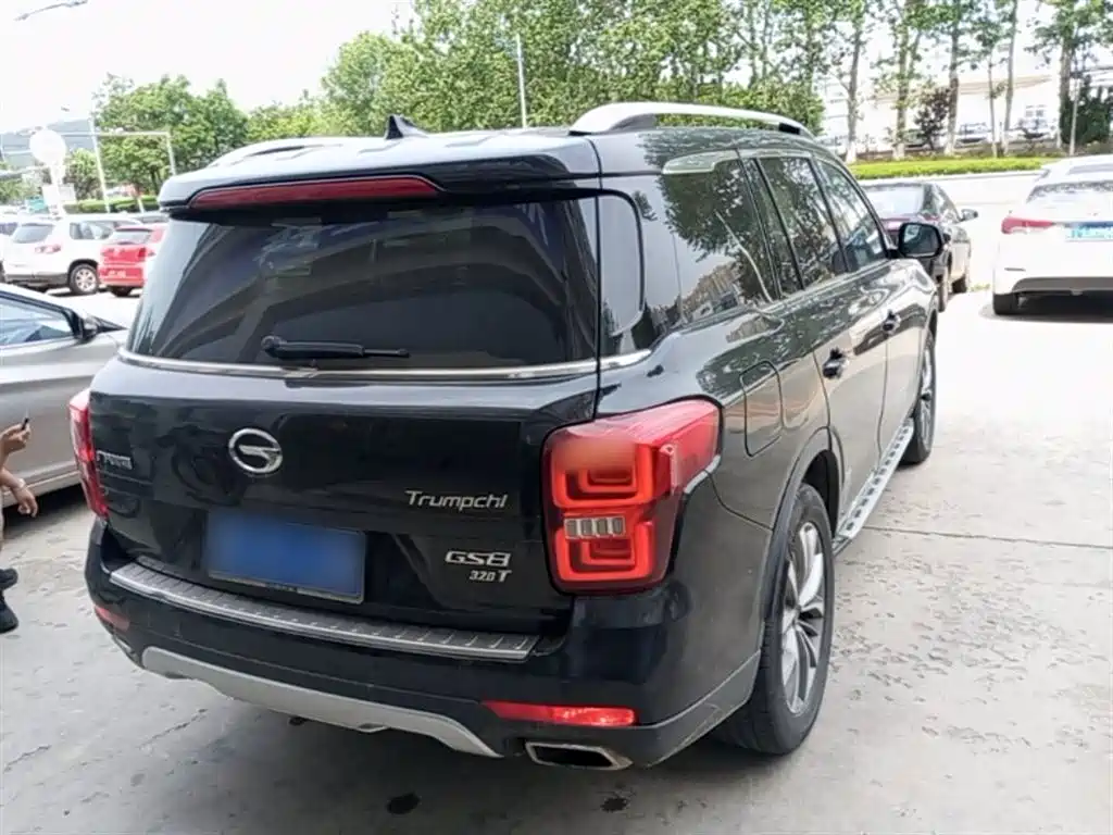 GAC Trumpchi Trumpchi GS8 2017 320T 2WD Luxury Smart Connect (7-seater) фото 7