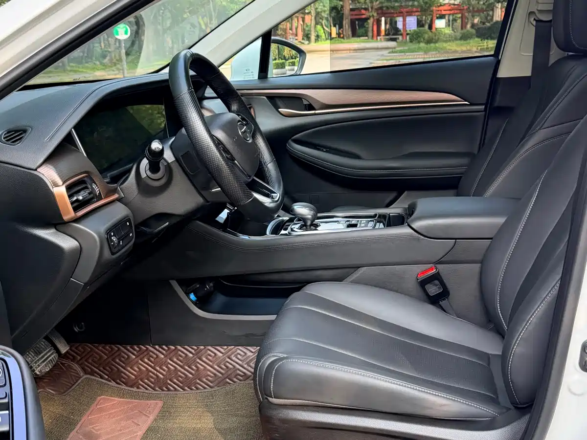 GAC Trumpchi Trumpchi GA6 2022 270T Automatic Luxury Edition фото 12