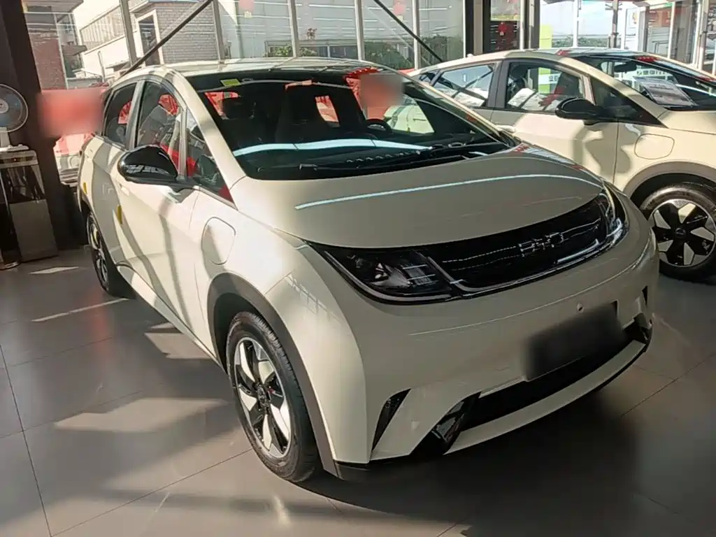 BYD Dolphin 2026 2025 420km Freedom Edition
