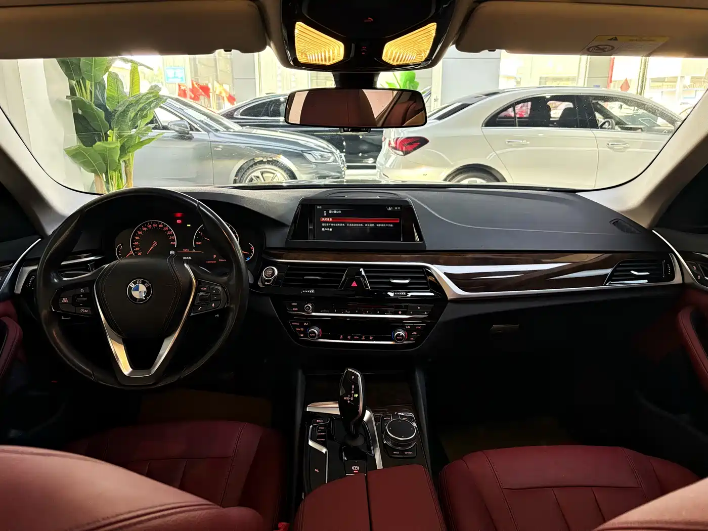 BMW 5 Series 2018 528Li Launch Special Edition фото 8