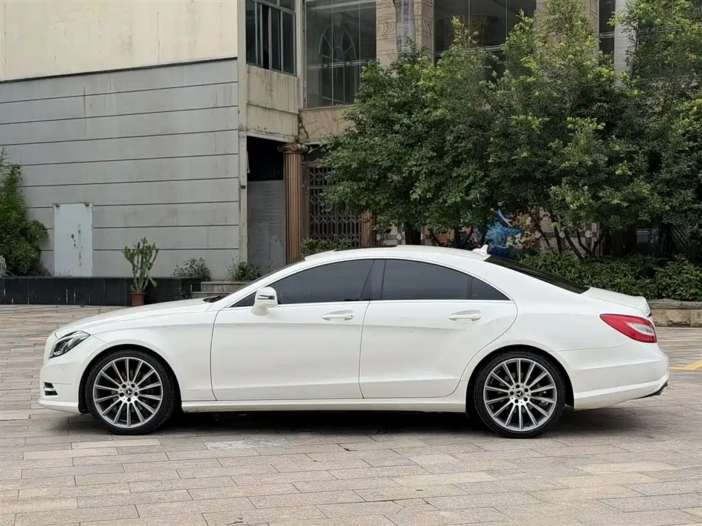 Mercedes-Benz CLS 2012 CLS 300 CGI фото 3
