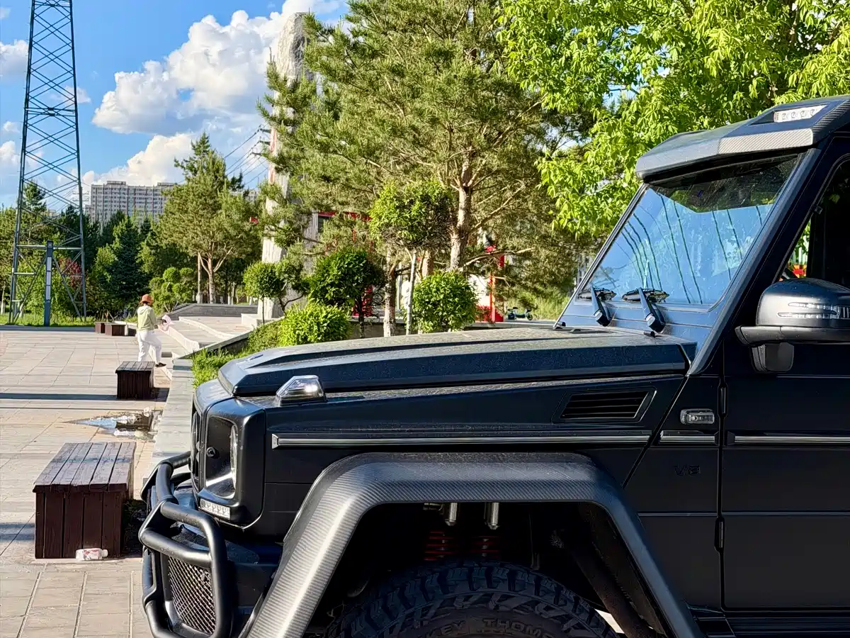 Mercedes-Benz G-Class 2017 G 500 фото 4