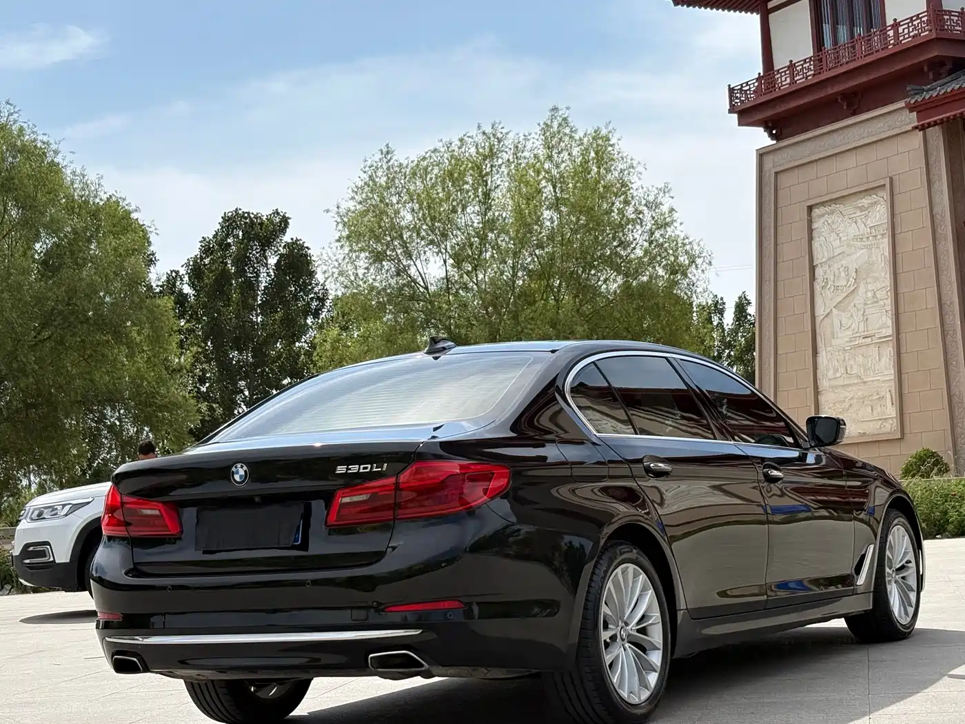 BMW 5 Series 2020 530Li Leading Luxury Package фото 9