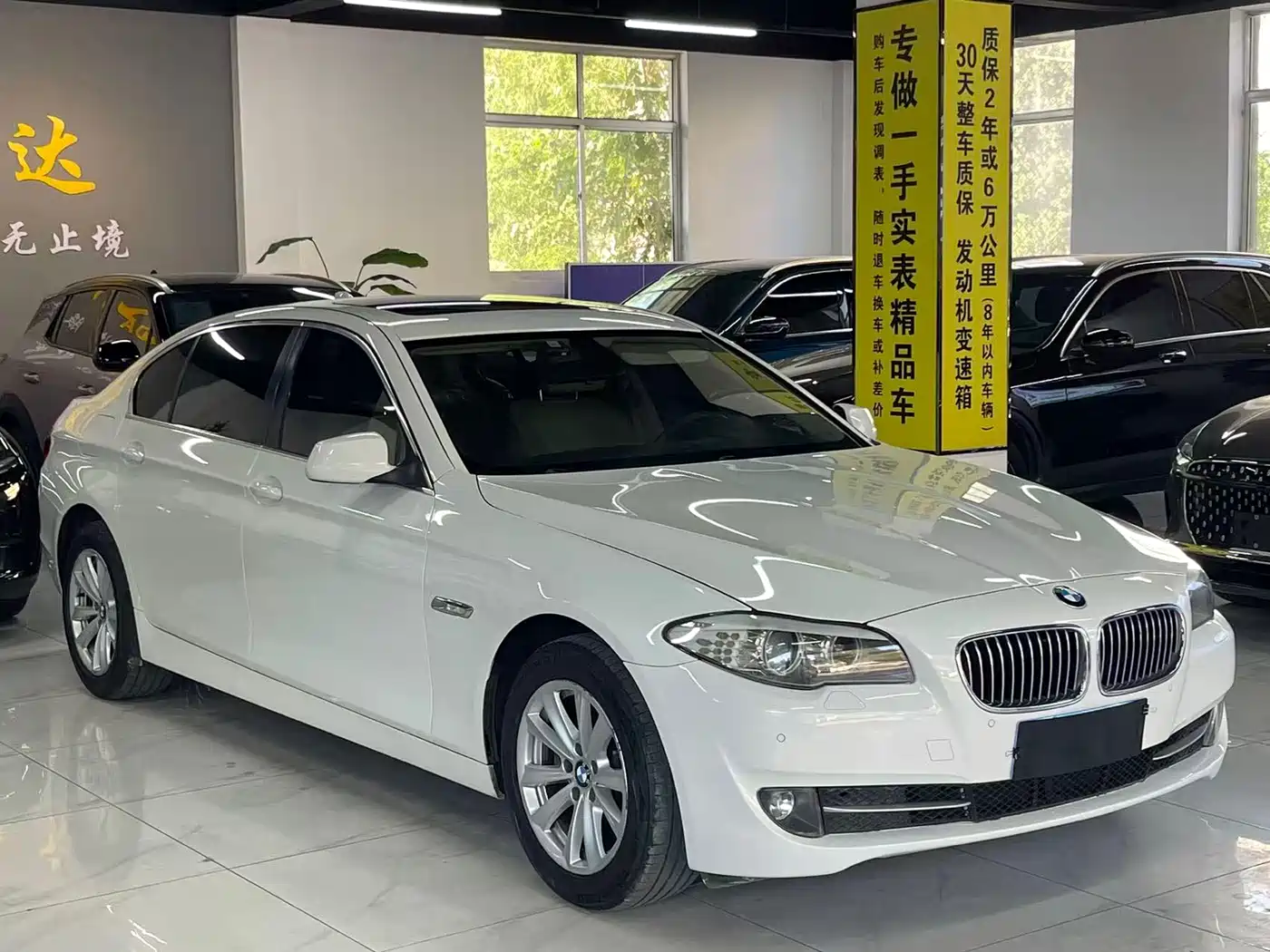 BMW 5 Series 2012 520Li Elegance фото 3