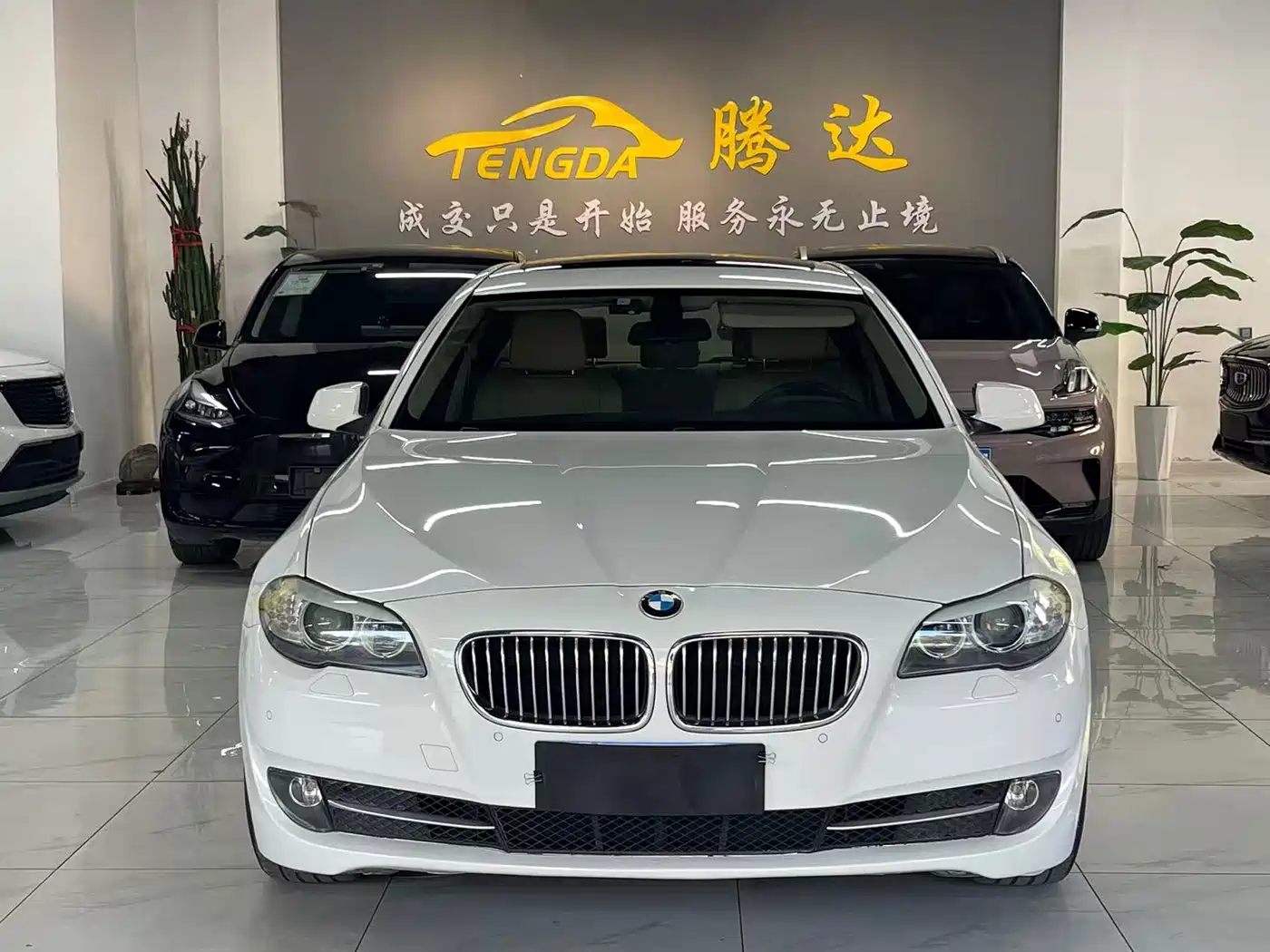 BMW 5 Series 2012 520Li Elegance фото 2