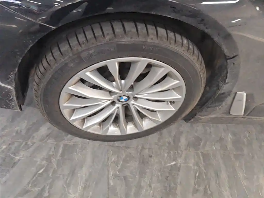 BMW 5 Series 2020 525Li Luxury Package фото 23