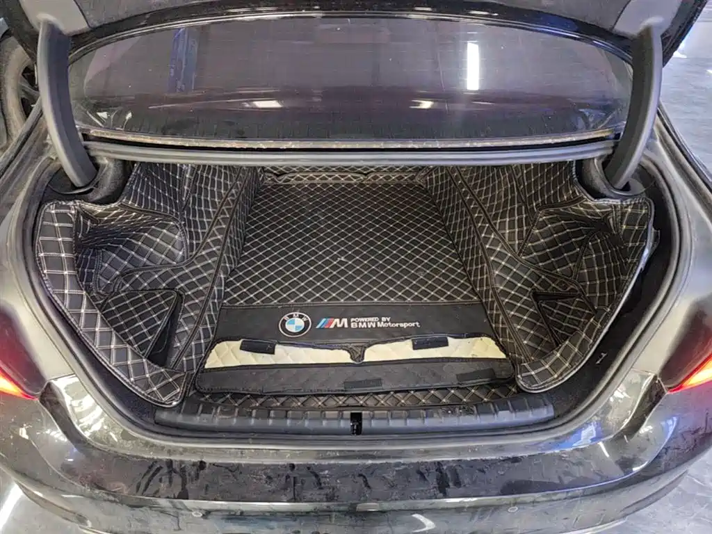 BMW 5 Series 2020 525Li Luxury Package фото 19