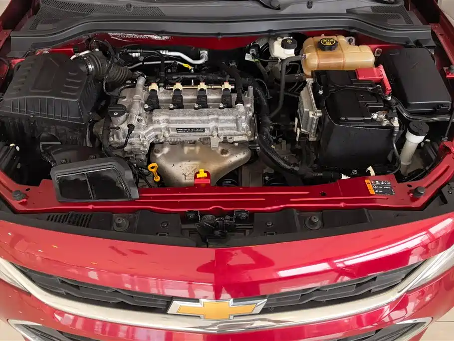 Chevrolet Cavalier 2016 1.5L Automatic Enjoyment Edition фото 10