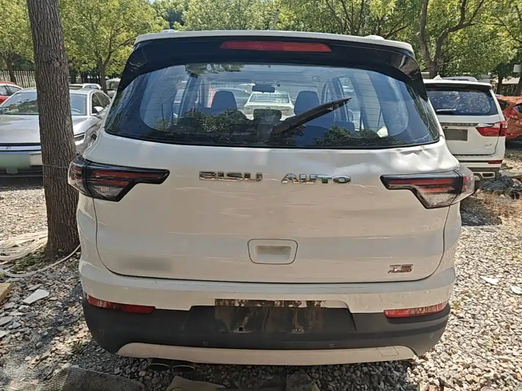 Bisu Auto Bisu T5 2017 2017 1.5T Manual Luxury
