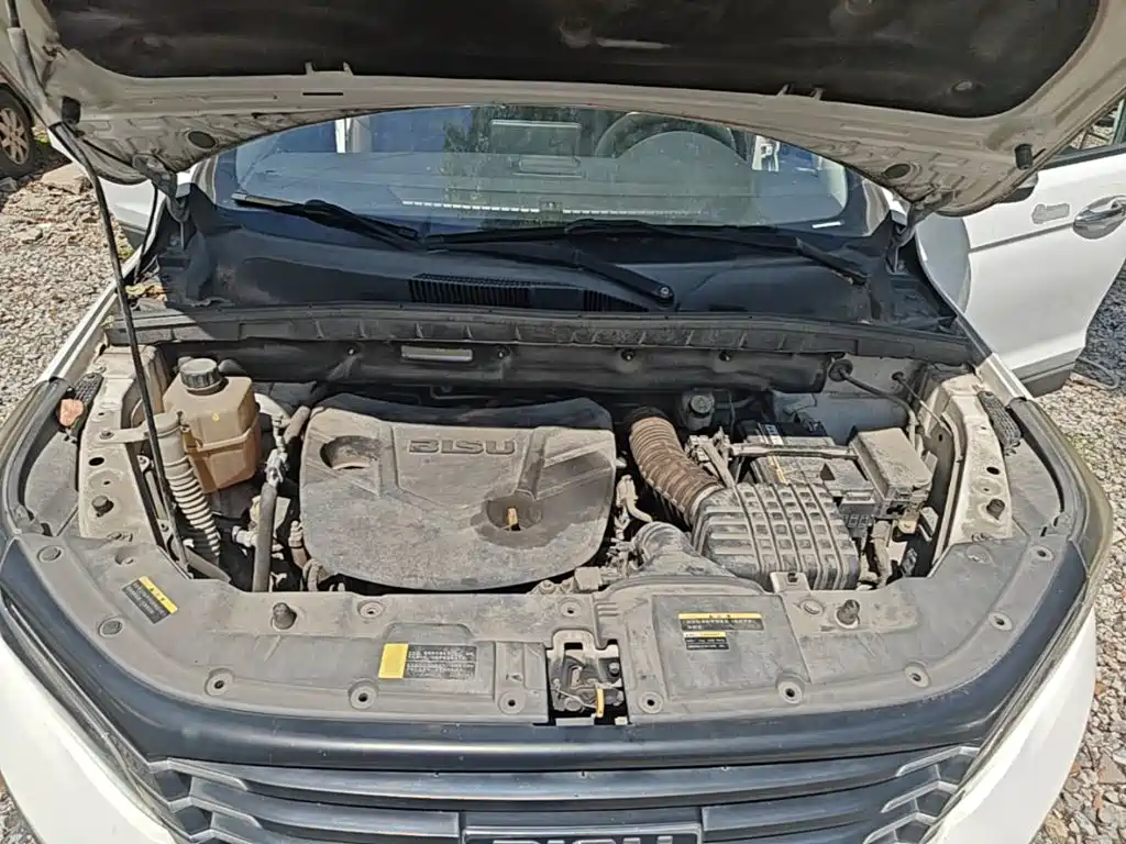 Bisu Auto Bisu T5 2017 2017 1.5T Manual Luxury