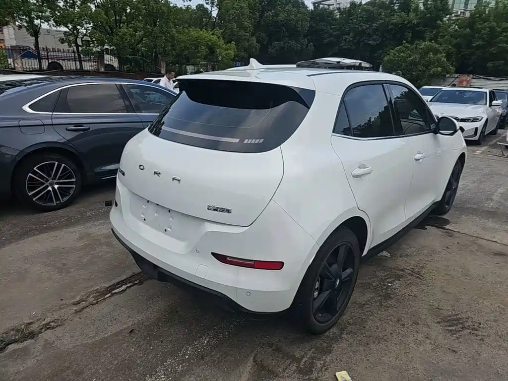 Ora Good Cat 2024 2024 401km Luxury