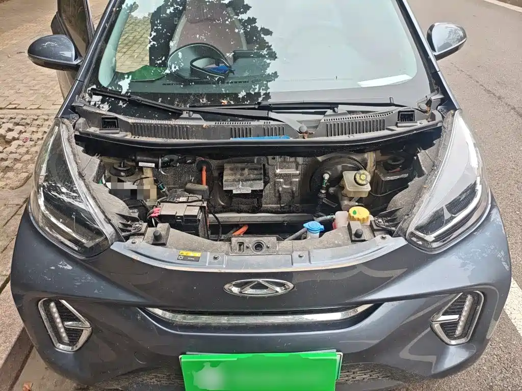 QQ New Energy Little Ant 2025 2024 251km Passion Edition