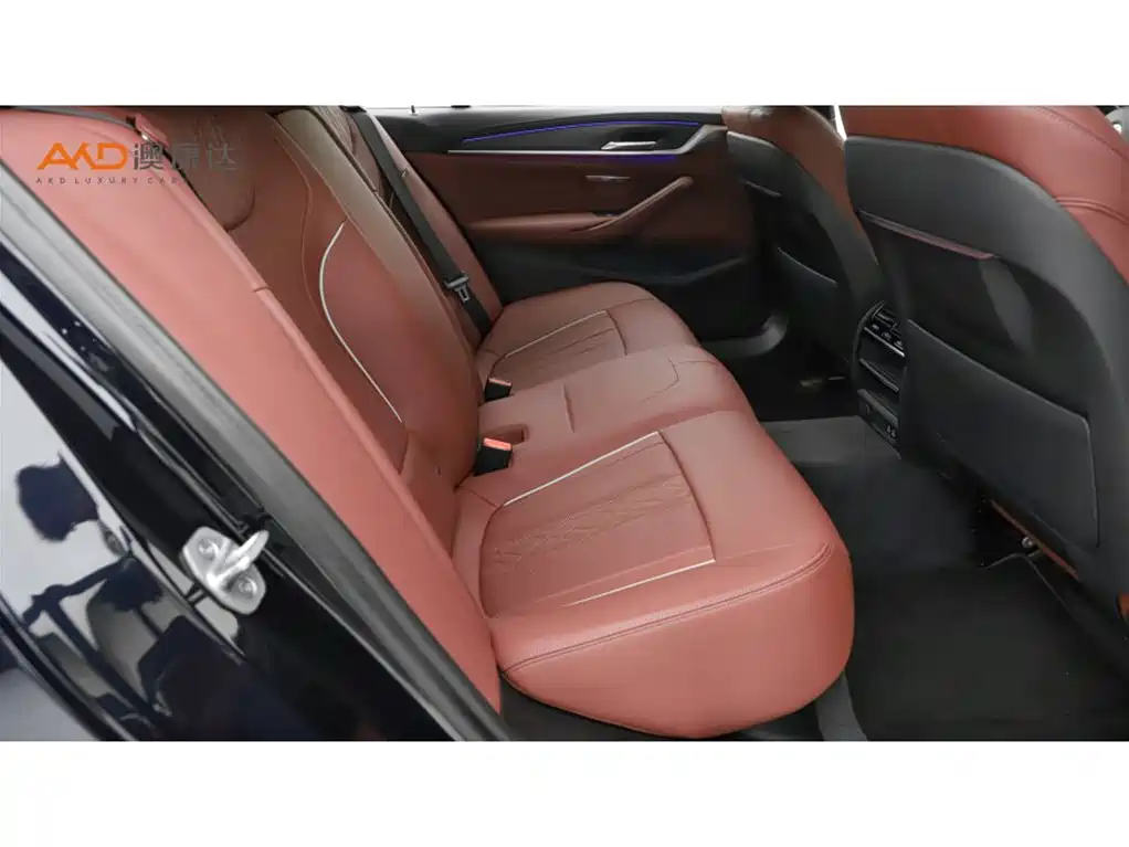 BMW 5 Series 2021 530Li xDrive M Sport Package фото 8
