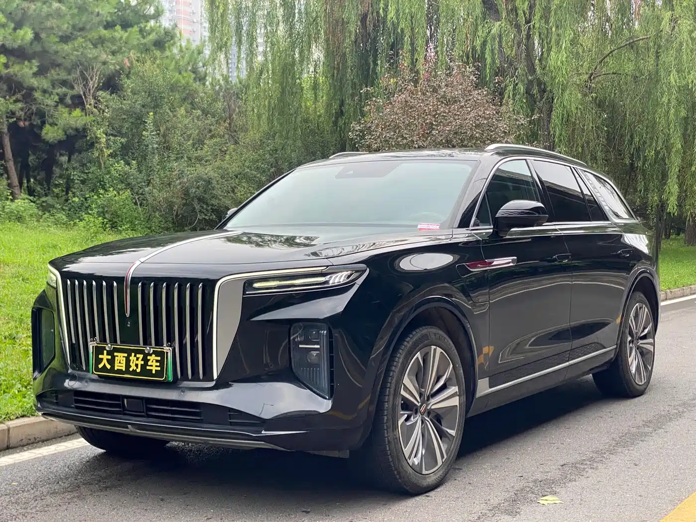 Hongqi E-HS9, 2023 год