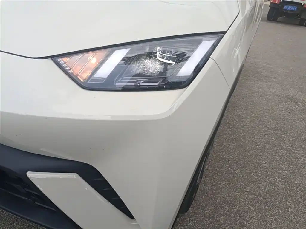 BYD Seagull 2024 Glory Edition 305km Freedom Edition фото 24